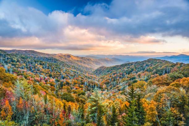 Willa Breathtaking Sunsets, Views, Pool, Heaven Awaits! Gatlinburg Zewnętrze zdjęcie
